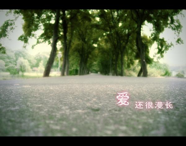程沛荣PS作品欣赏(PS后) 程沛荣PS作品欣赏(PS后)