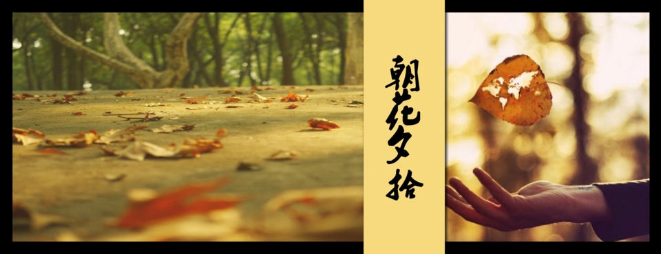 朝花夕拾