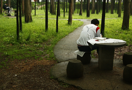 背靠喧哗，林静心清